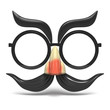 toyGlassesAndNoseFrontView2_image