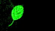 Swarm of green fireflies