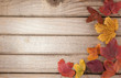 Wood background with autumn leaves