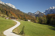 Herbstfärbung im Kaisertal bei Kufstein in Tirol, Austria.