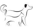 Cat and dog sketch vector