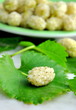 White mulberries White mulberries