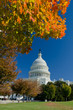 US Capitol in autumn, Washington DC USA