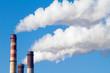 plant pipe with smoke plant pipe with smoke