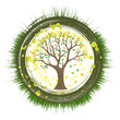 Eco Tree