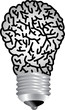 bulb brain