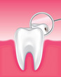 Tooth Set 6