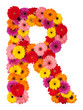 Letter R - flower alphabet isolated on white Letter R - flower alphabet isolated on white