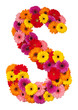 Letter S - flower alphabet isolated on white