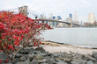 New York - 010 - Brooklyn Bridge - Skyline