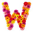 Letter W - flower alphabet isolated on white