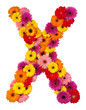 Letter X - flower alphabet isolated on white