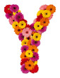 Letter Y - flower alphabet isolated on white