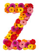 Letter Z - flower alphabet isolated on white