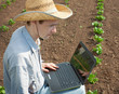 Photo: The young man examines shoots of a potato The young man examines shoots of a potato