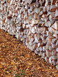 Brennholz im Herbst