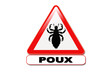 Panneau attention aux poux