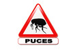 Panneau attention aux puces