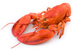 Lobster