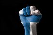 Fist painted in colors of finland flag Fist painted in colors of finland flag