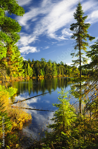 Photo: Forest and sky reflecting in lake Forest and sky reflecting in lake