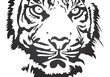 Vektor: vector tiger vector tiger