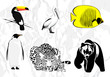 Vector animals set