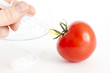Spritze in Tomate