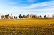 Agricultural field