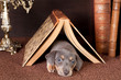 Sleeping under a book