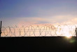 barbed wire