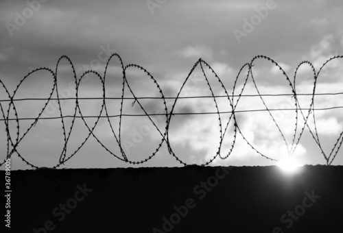 Photo: barbed wire barbed wire