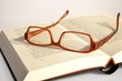 Buch Brille
