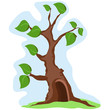 albero