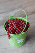 red currants