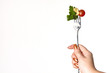 tomatoes, pasta and herb like symbol Italian flag tomatoes, pasta and herb like symbol Italian flag