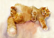 Watercolor Animal Collection: Cat