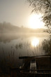 Autumn's fishing time