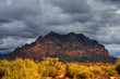 Desert Storm Desert Storm