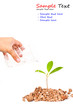 New life in hand on wafer drop on white background New life in hand on wafer drop on white background