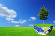 rasen_erde_baum