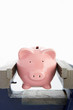 Piggybank in a vice