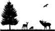Wald Wiese Feld Silhouette Landschaft Tiere