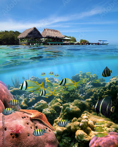 Foto: Caribbean dreams Caribbean dreams