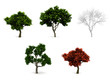 3d trees pack isolated on white.