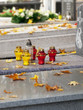 Autumn in a cemetery.