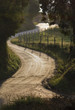 Country Road in Backlight.