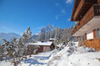 Winter landscape