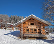 Winter landscape