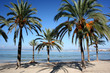 Palmenstrand Arenal - Mallorca